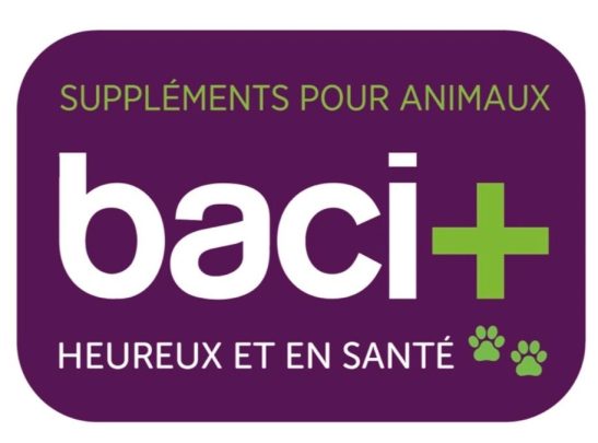 Logo baci+ Baci +