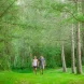 Sentier pédestre