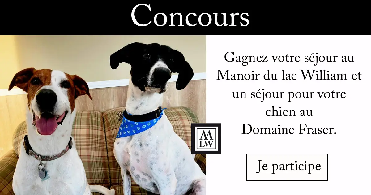 Concours Toutou inclus 2024 concours toutout inclus modifie 3