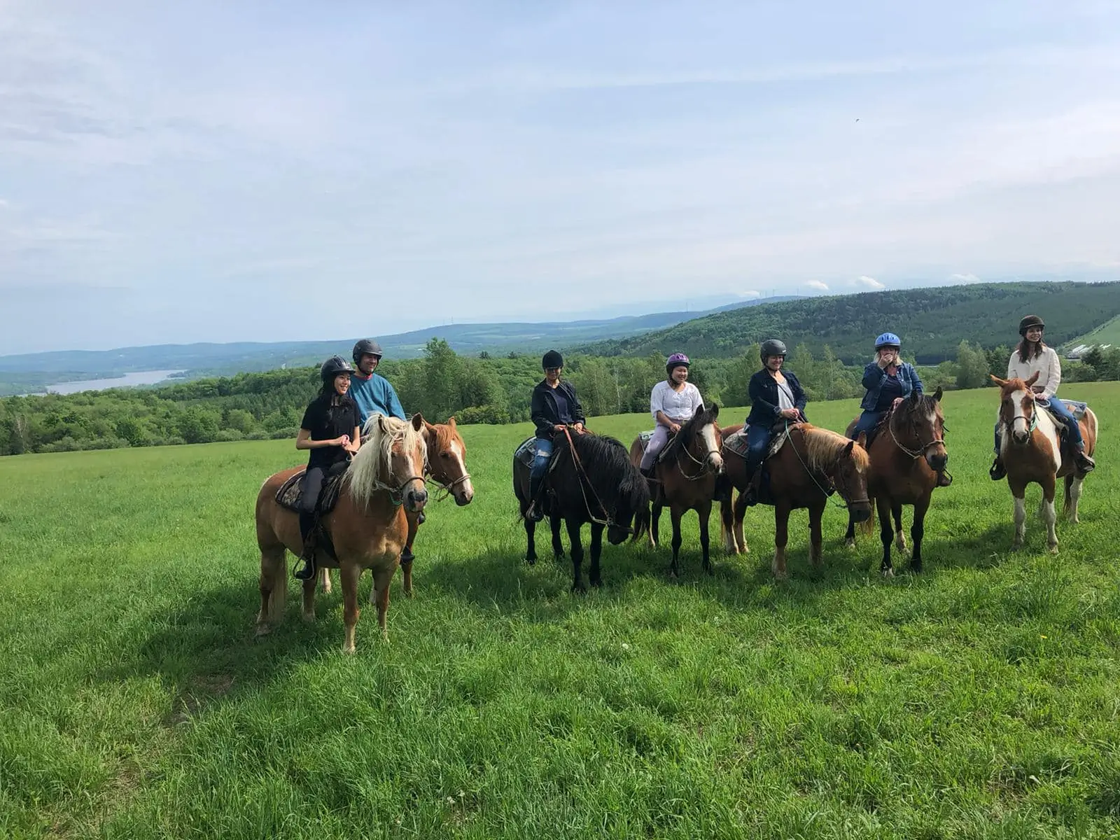 equitation 1 equitation 1