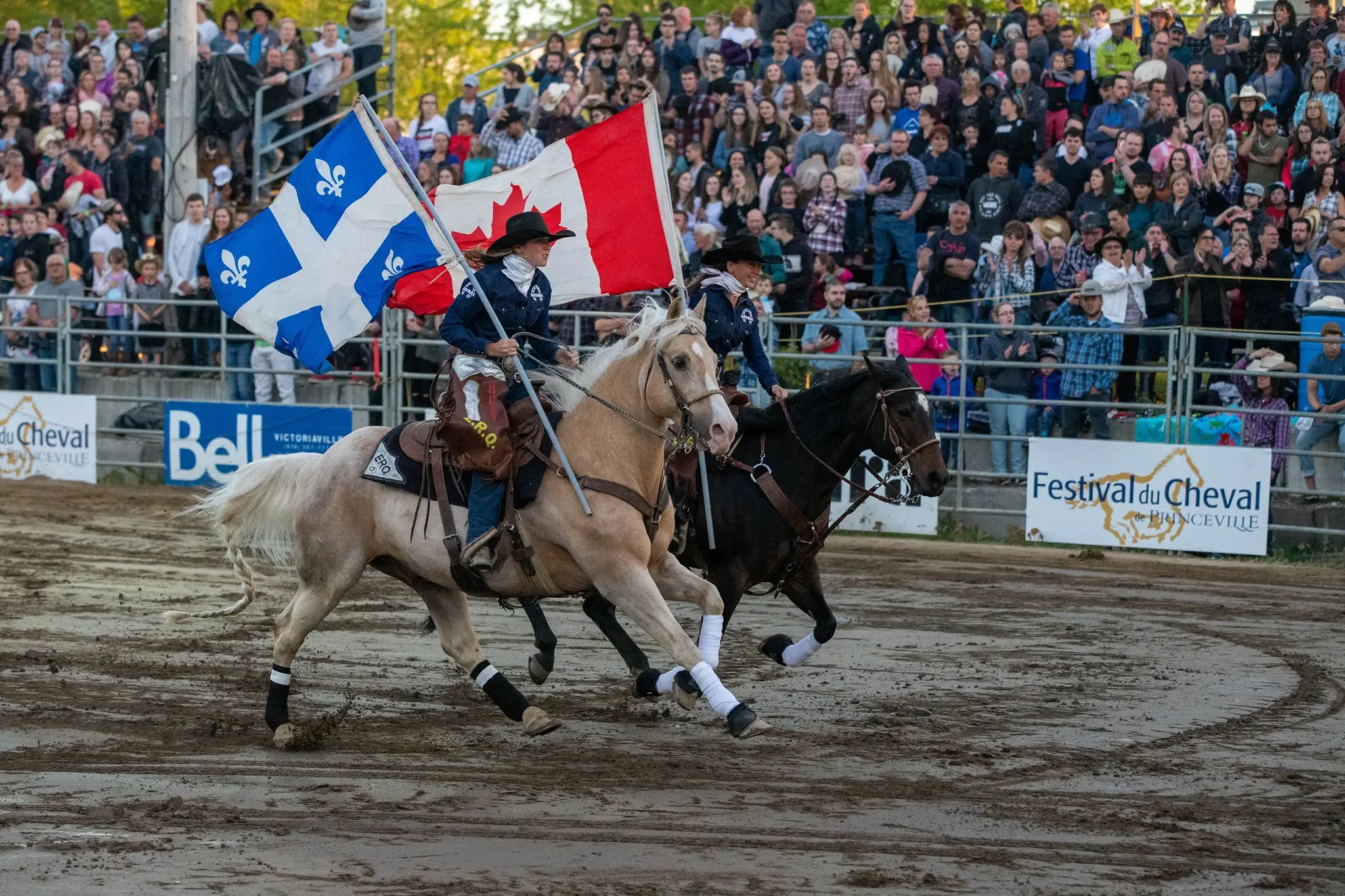 festival du cheval 2 festival du cheval 2