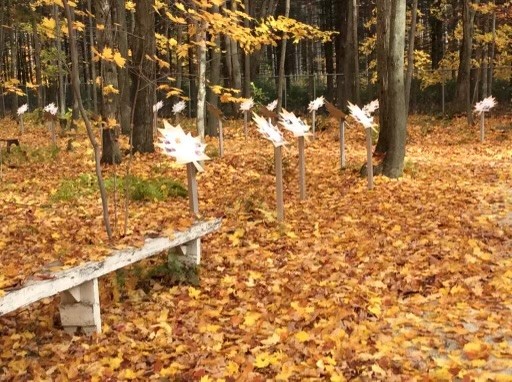sentier generation automne 1