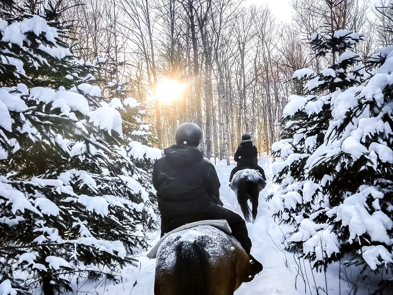 Equitation hiver Équitation