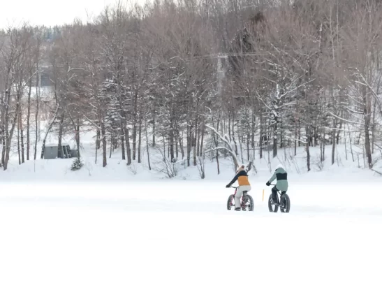 Fatbike Fatbike