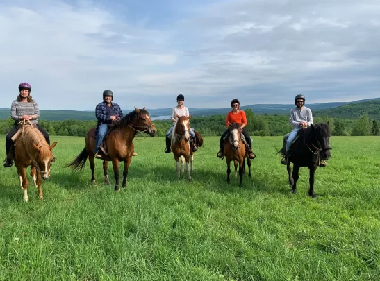 5 personnes qui font de l'équitation en été