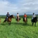 5 personnes qui font de l'équitation en été