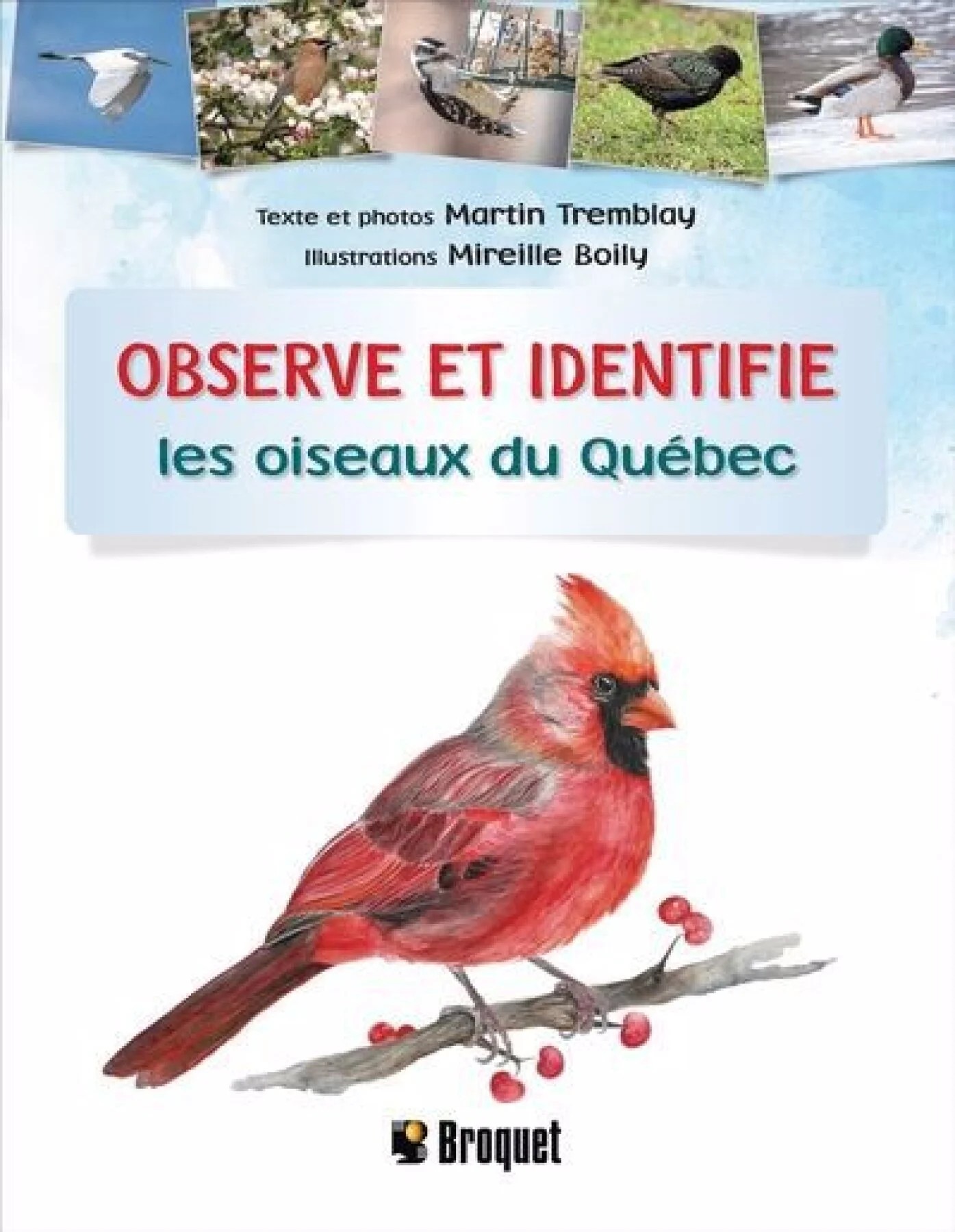 Livre Observe et identifie les Livre Observe et identifie les