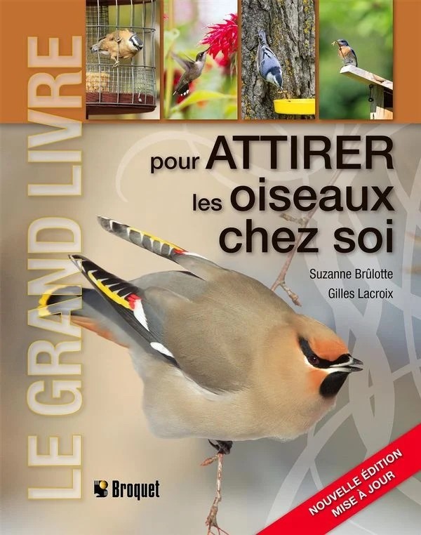 Livre Pour attirer les oiseaux chez toi Livre Pour attirer les oiseaux chez toi