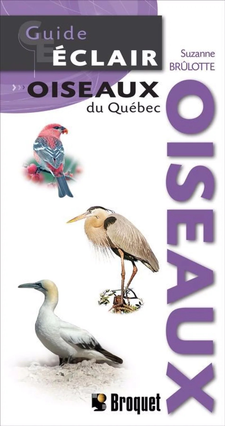 Livre les oiseaux du Quebec Livre les oiseaux du Quebec