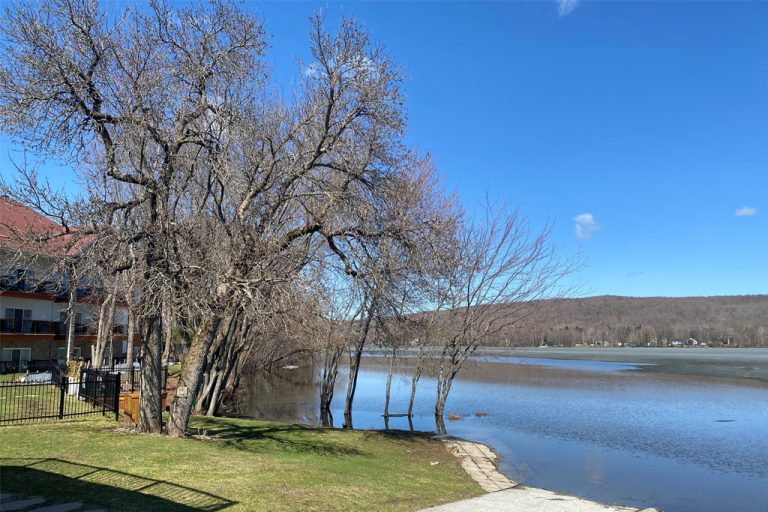 L&rsquo;arrivée du beau temps!