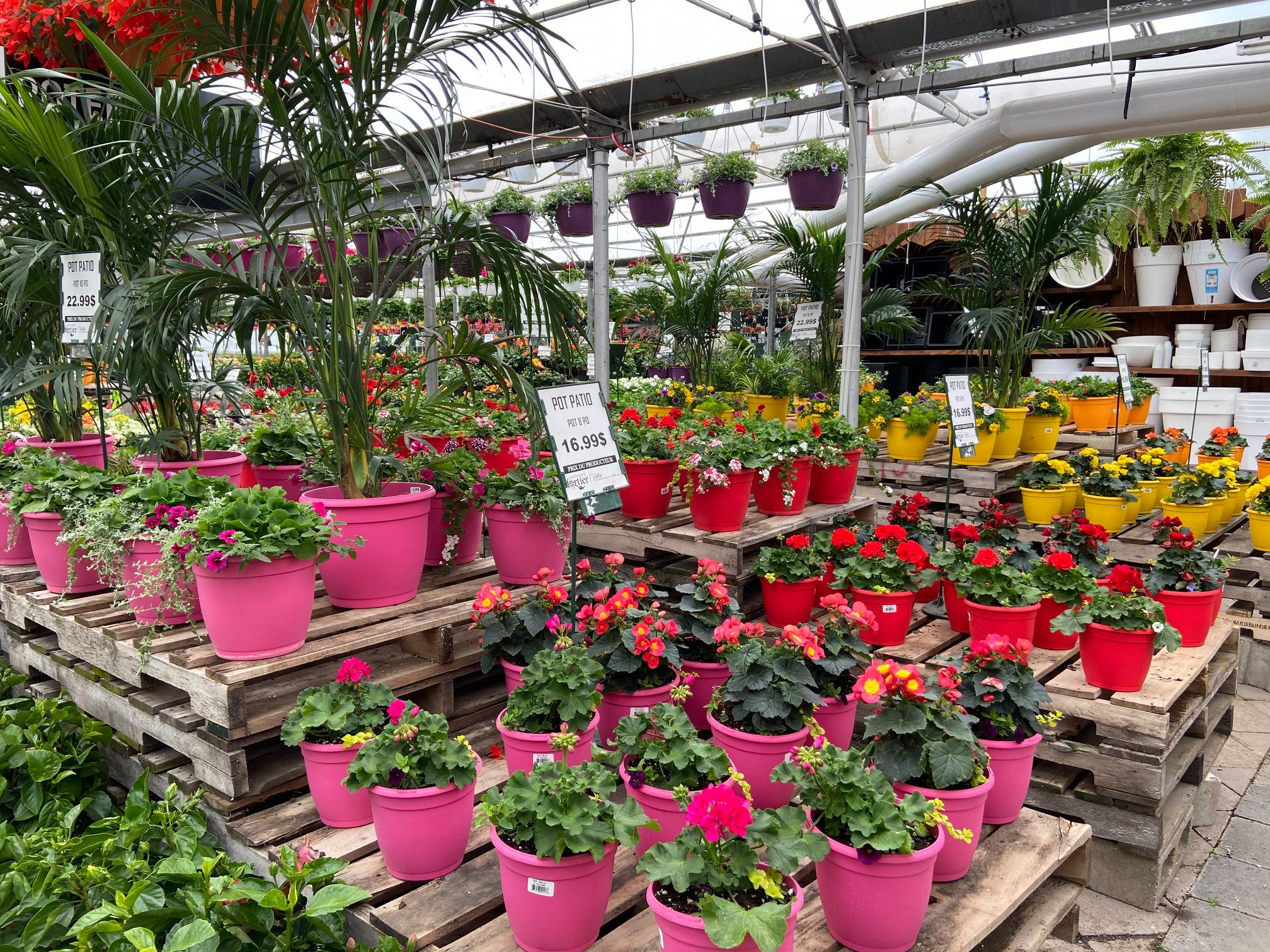 pot patio 2020 pot patio 2020