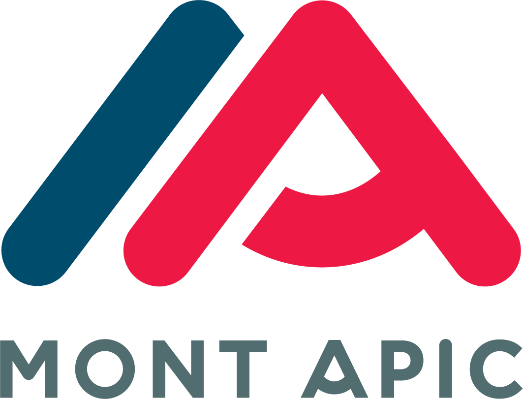 logo apic logo apic